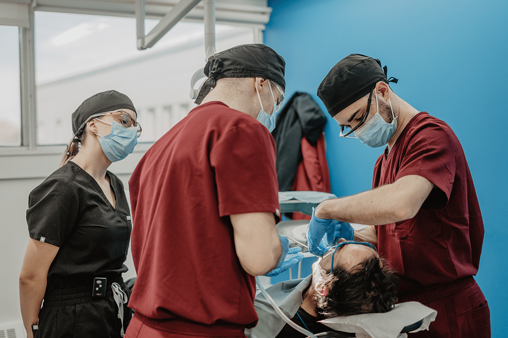 Formation passerelle