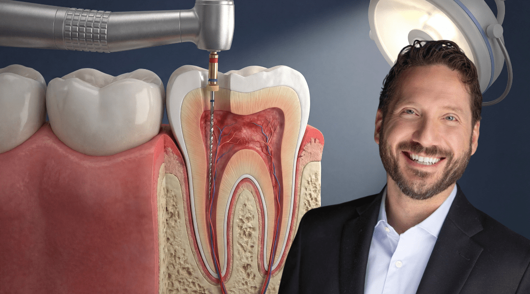 formation hands on endodontie